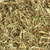 Fumaria Planta