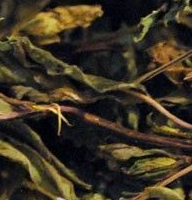 Menta Hojas / Cortadas