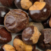 Guaraná Semillas