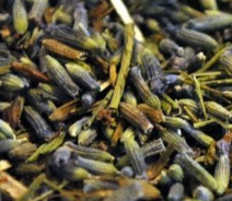 Lavanda Flor