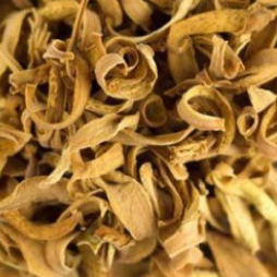 Azahar Flor