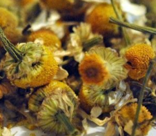 Manzanilla Dulce / Amarga Flor