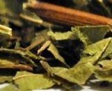 Hierbaluisa Hojas