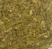 Centella Asiática Planta