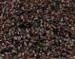 Psyllium Cáscara Semilla