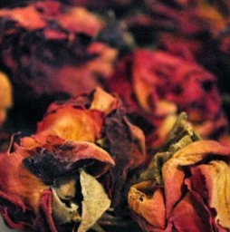 Rosa Pétalos