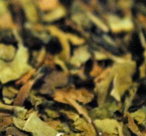 Albahaca