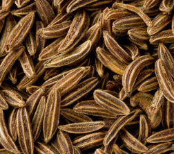 Alcaravea