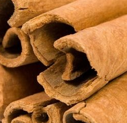 Canela