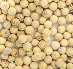 Pimienta blanca