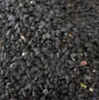 Nigella